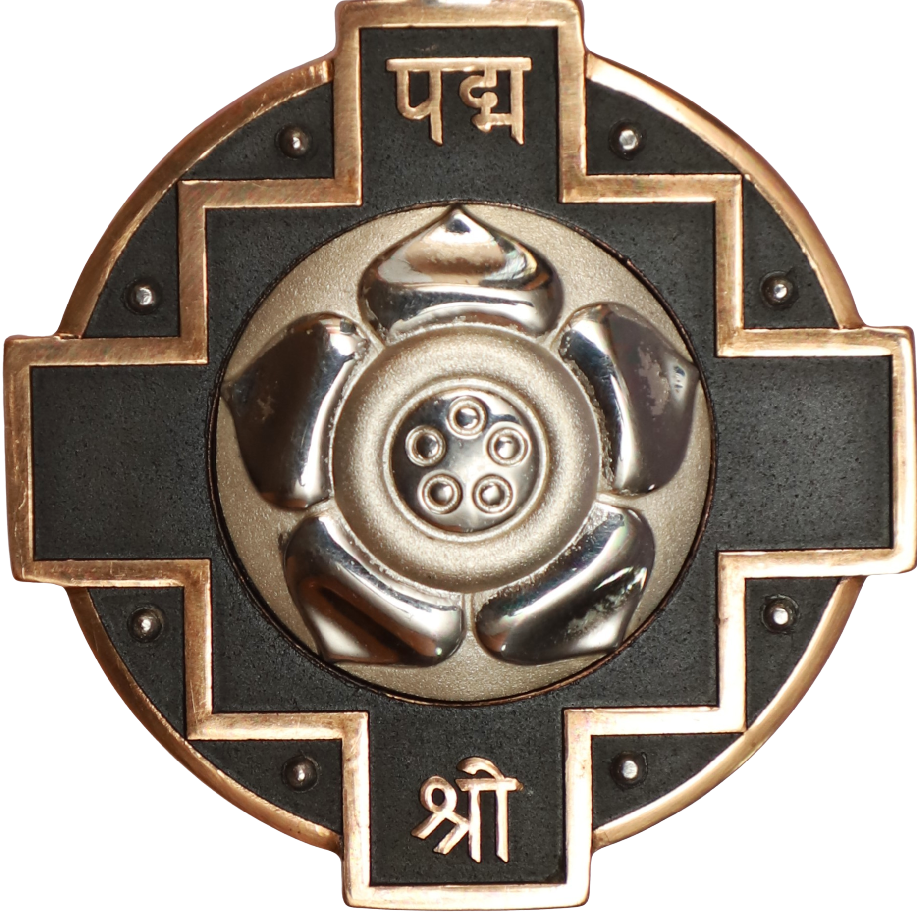 Celebrating Excellence & Promoting Wellness : Honouring Padma Shri Awardee Prof. P. L. Gautam and Free Health Check-up & Diagnostic Camp on 28 June 2026